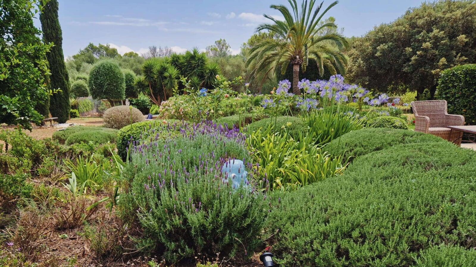 Jardín mediterráneo