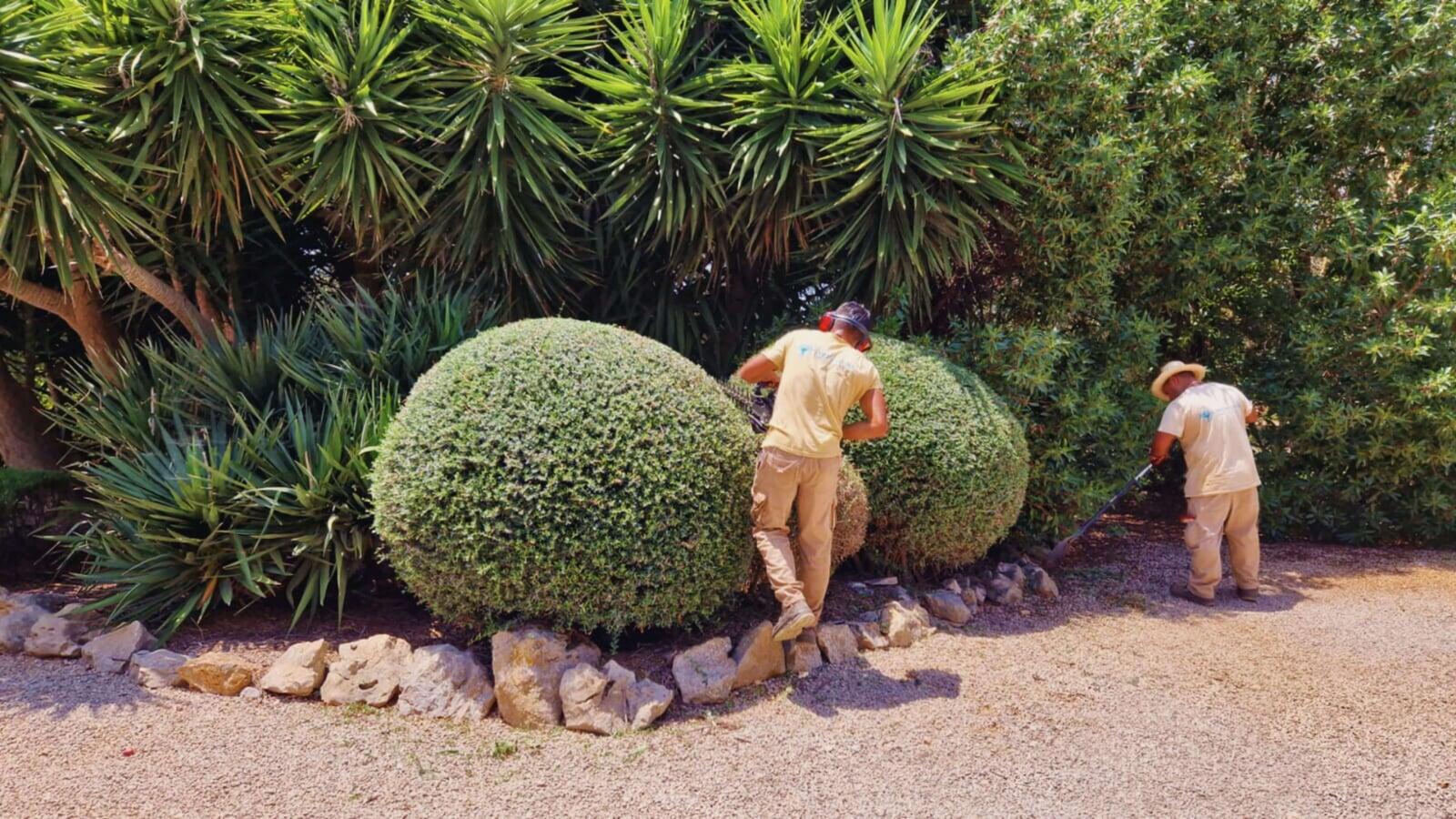 Jardineros de Art Nature Group trabajando