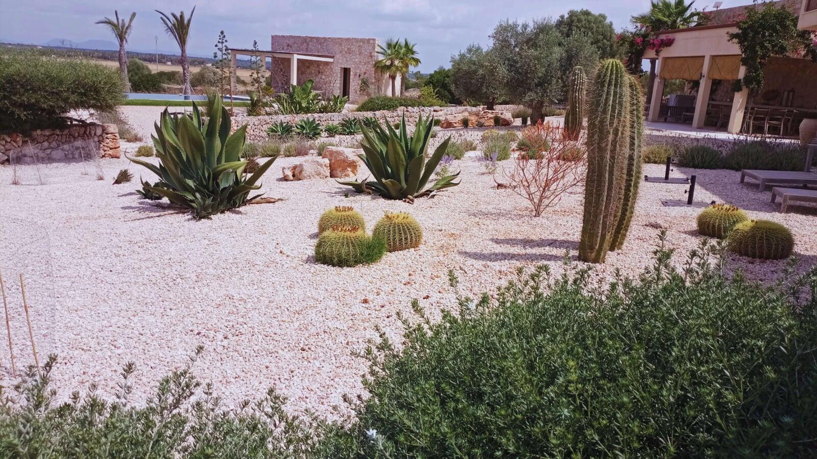 Casa rodeada de hermosos cactus
