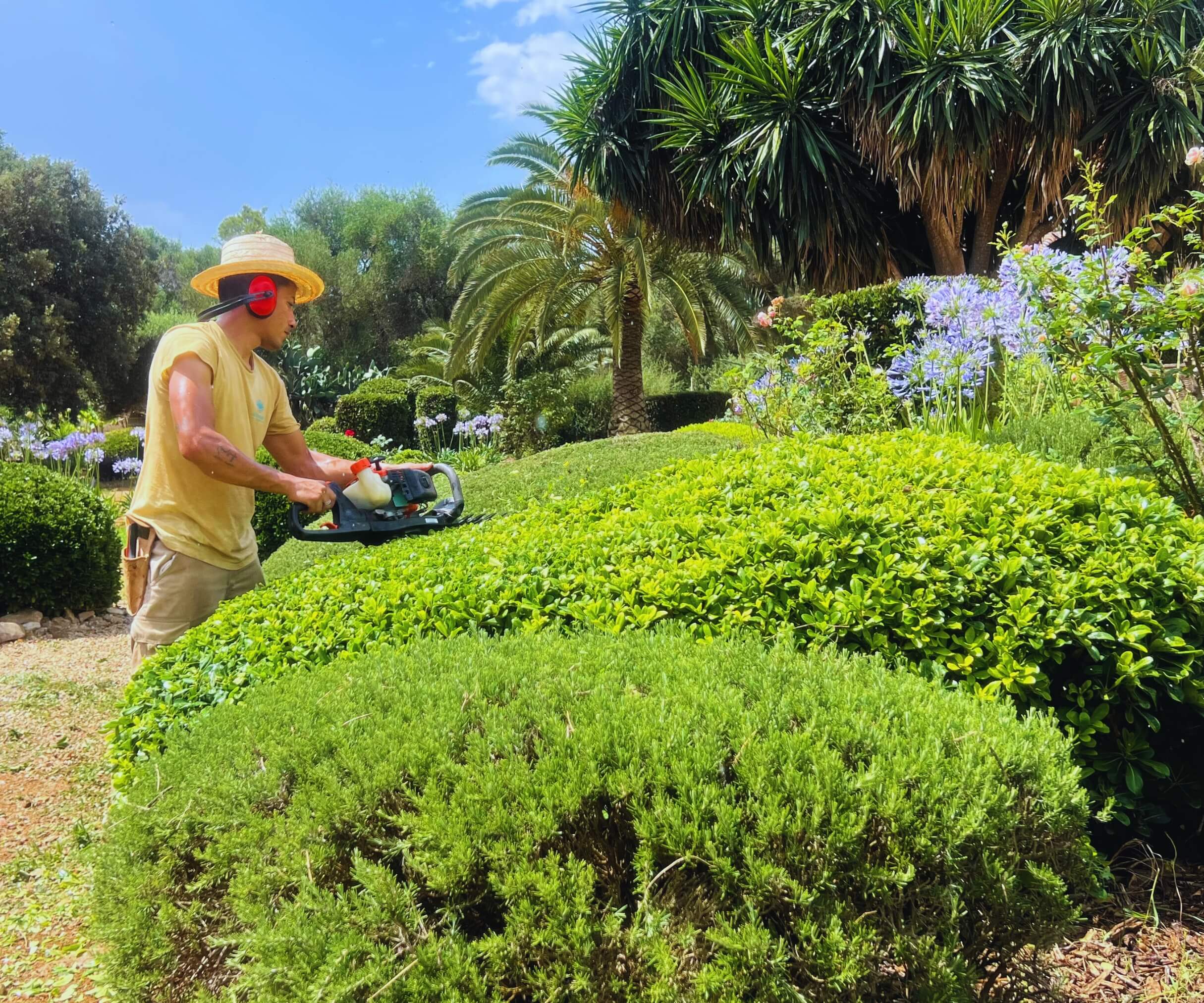 Jardinería