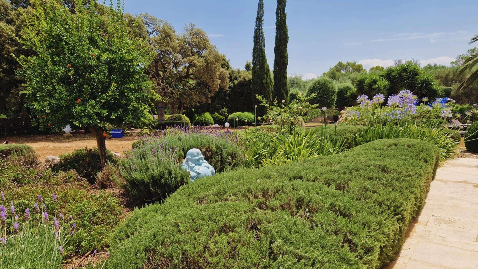 Jardín mediterráneo y buda