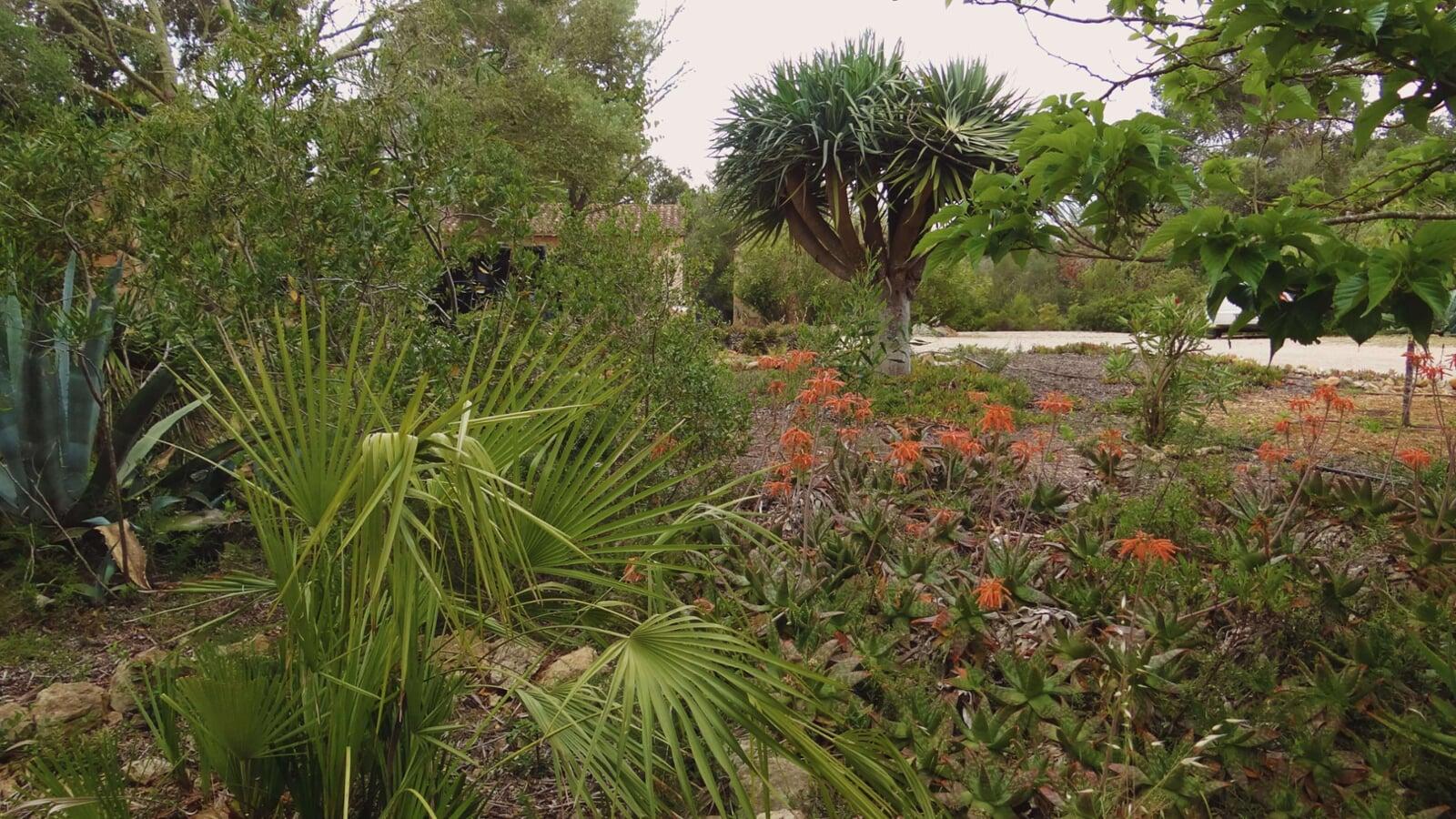 Jardin mediterráneo