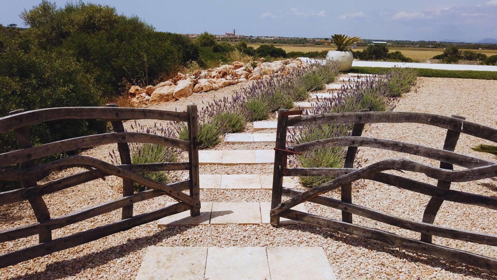 Puertas de madera semi abiertas hacia un camino de lavanda